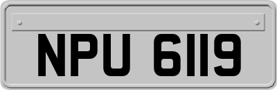 NPU6119