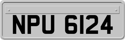 NPU6124