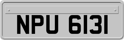 NPU6131