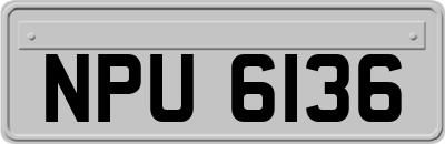 NPU6136
