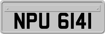 NPU6141