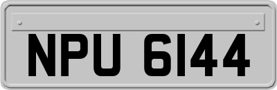 NPU6144