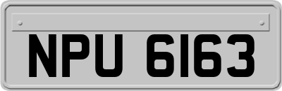 NPU6163