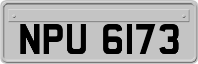NPU6173