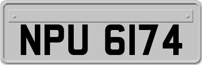 NPU6174