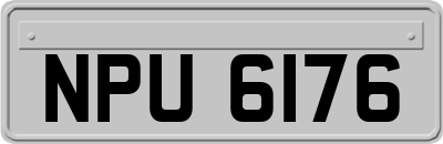 NPU6176
