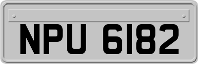 NPU6182