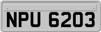 NPU6203