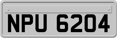 NPU6204