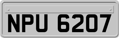NPU6207