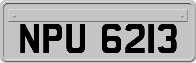NPU6213