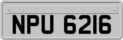 NPU6216