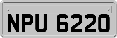 NPU6220