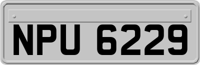 NPU6229