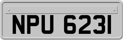 NPU6231