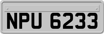 NPU6233