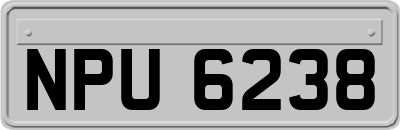 NPU6238