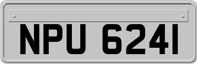 NPU6241