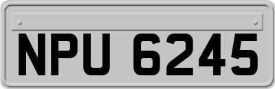 NPU6245