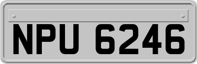 NPU6246