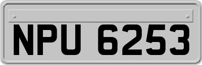 NPU6253
