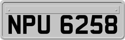NPU6258