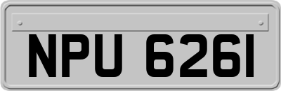 NPU6261
