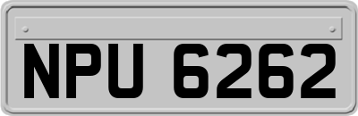 NPU6262