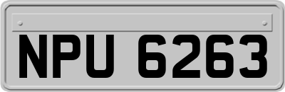 NPU6263