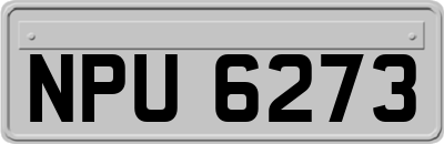 NPU6273