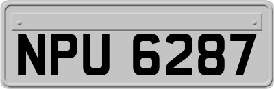 NPU6287