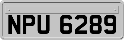 NPU6289