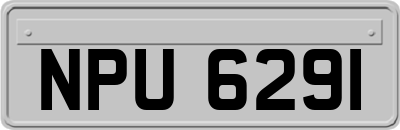 NPU6291