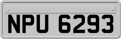 NPU6293
