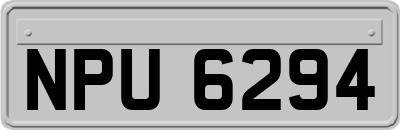 NPU6294