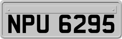 NPU6295
