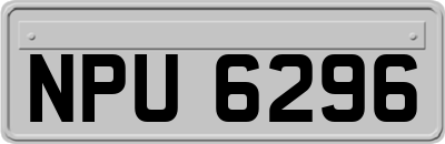 NPU6296