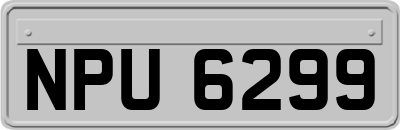 NPU6299