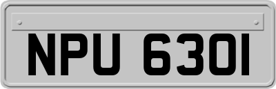 NPU6301