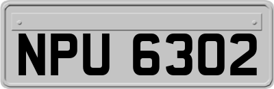NPU6302