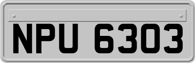 NPU6303