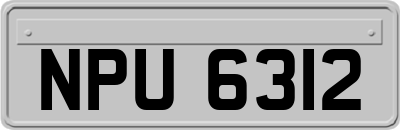 NPU6312