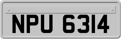 NPU6314