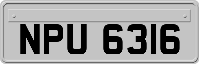 NPU6316