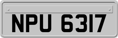 NPU6317