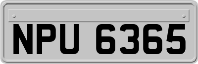 NPU6365
