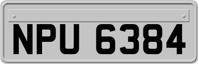 NPU6384