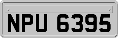 NPU6395