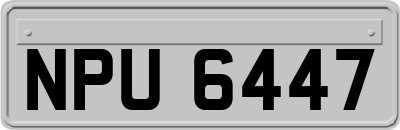 NPU6447