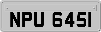 NPU6451